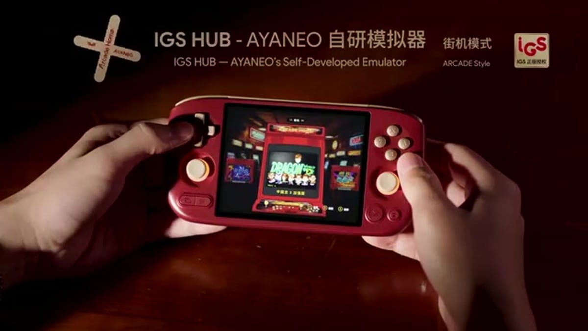 The IGS HUB custom emulator interface