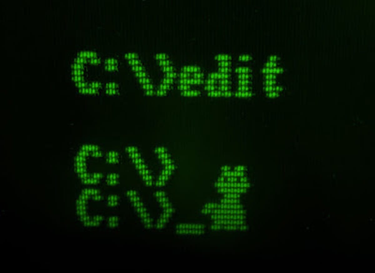 A cat rendered in CGA text mode