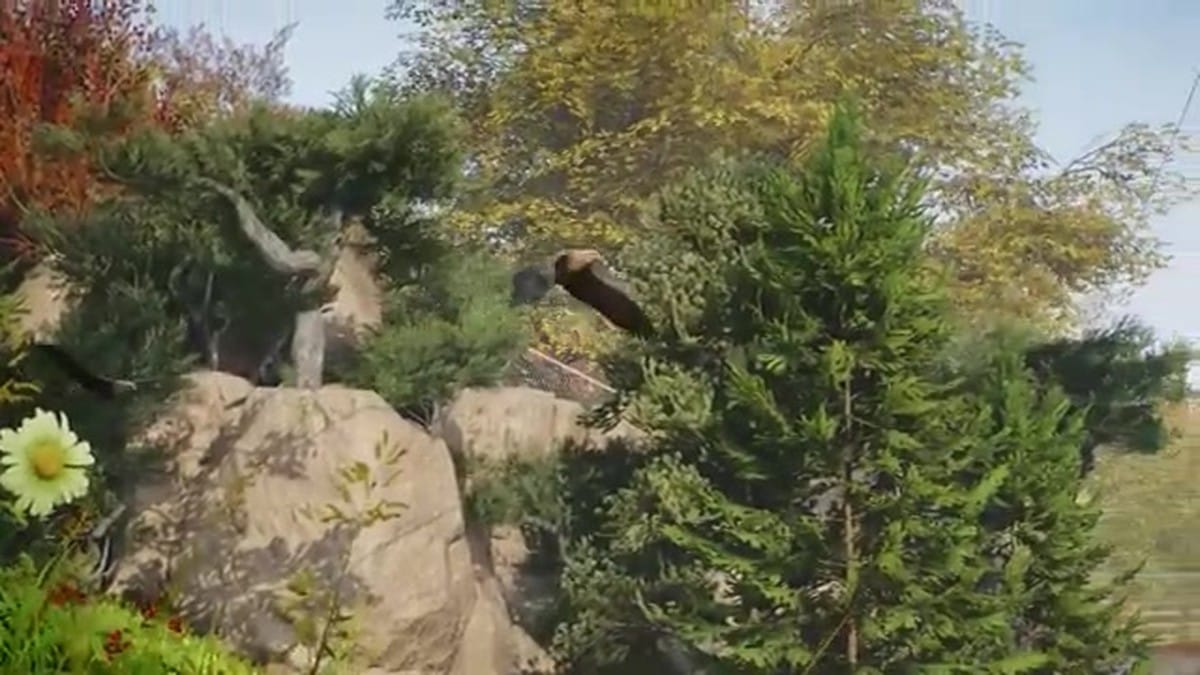 A close-up of a white-tailed sea eagle in mid-flight within a large, netted aviary structure.