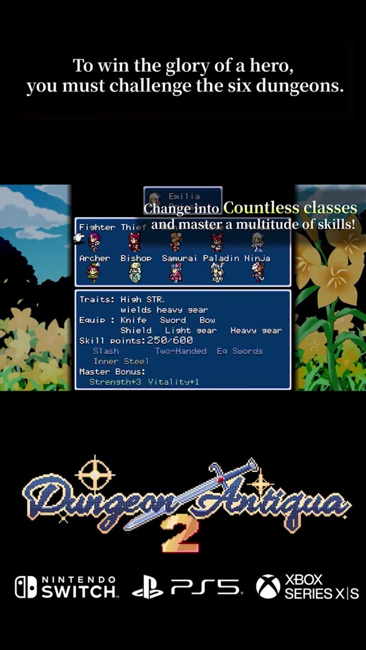 Class selection grid showcasing 10 different character classes (Fighter, Thief, Priest, Mage, Monk, Archer, Bishop, Samurai, Paladin, Ninja) and their unique traits.