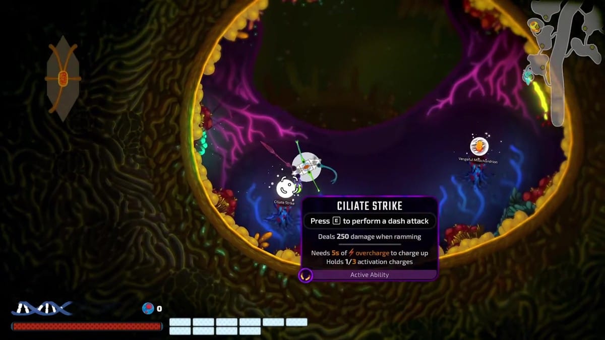 Top-down bullet-hell combat against immune cells