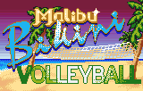 Atari Lynx Prototype of Malibu Bikini Volleyball Surfaces